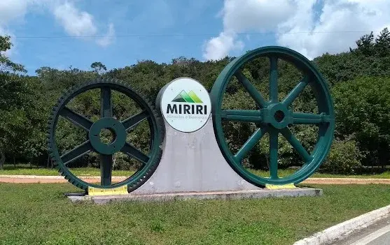 5nRPccZE-Miriri-jpg